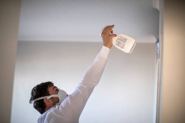 Best Black Mold Removal  in Blue Bell, PA